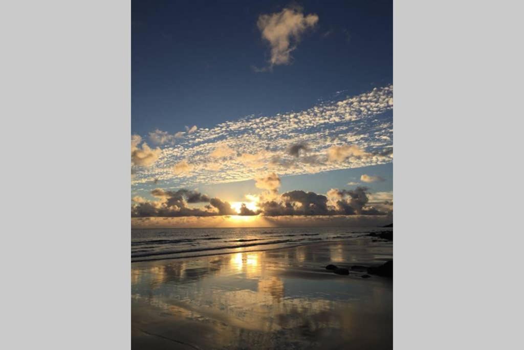 Playa Marina Ocean View Eco Bungalow 阿列塔 外观 照片