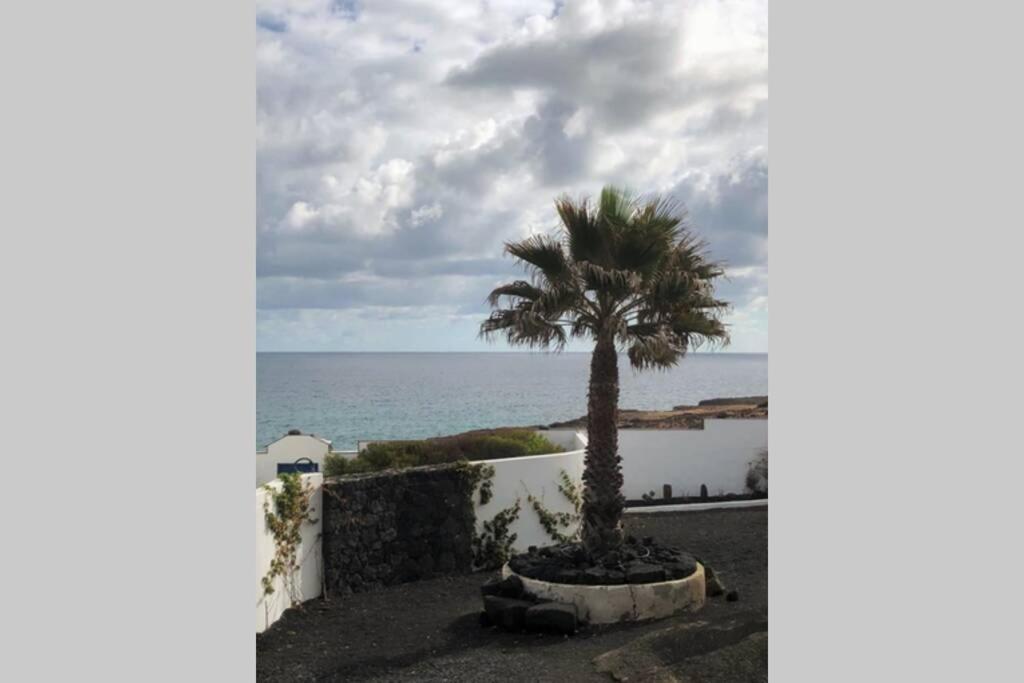 Playa Marina Ocean View Eco Bungalow 阿列塔 外观 照片